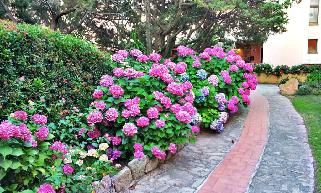 Hotel Valdiola Porto Cervo Eksteriør billede
